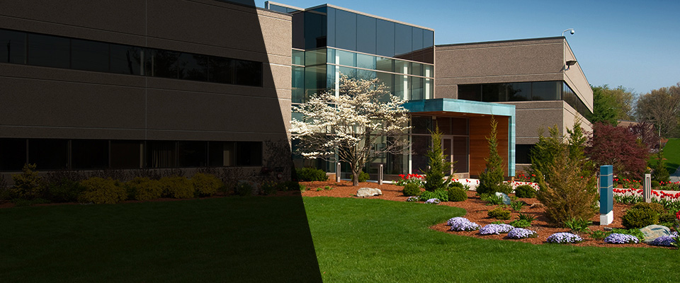 Ellisville Landscapers