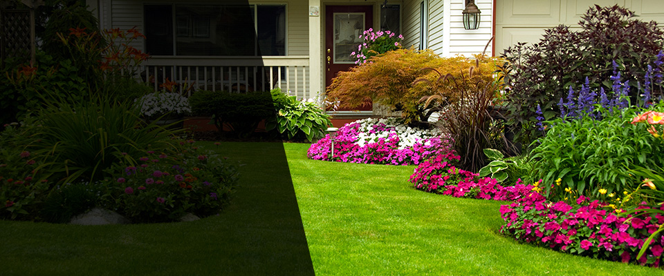 Ellisville Landscapers