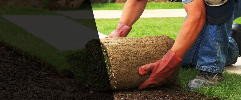 Ellisville Landscapers